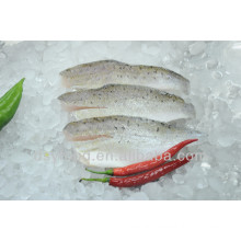 frozen skin on sea bass fillets